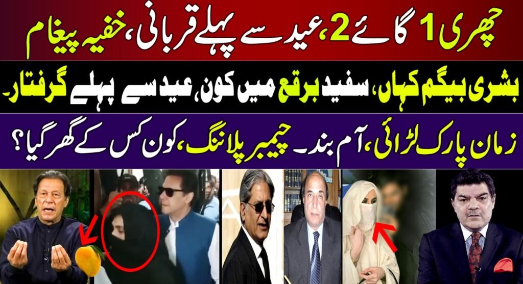 بشریٰ بیگم کہاں، سفید برقع میں کون،عید سے پہلے قربانی؟