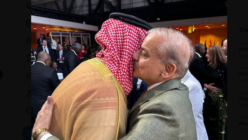 pm salman