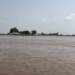 River Satlij