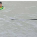sindh river
