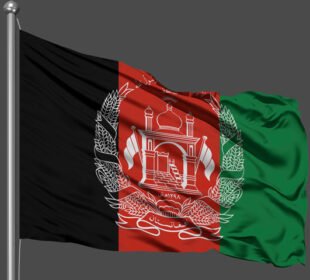 افغانستان میں سیاسی جماعتوں کی سرگرمیوں پر پابندی