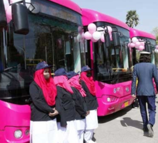 pink buses