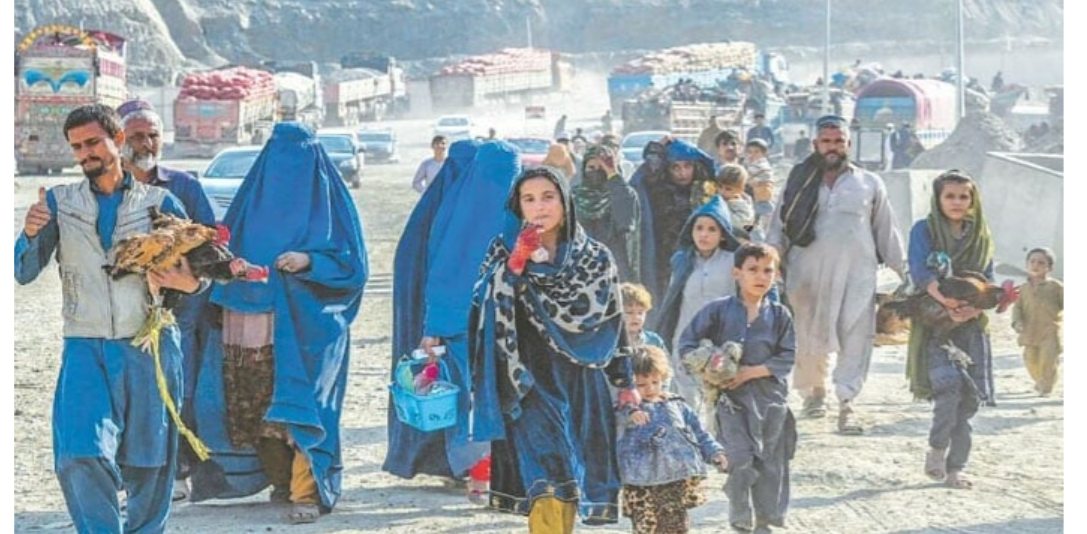 afghan