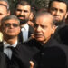 pmln