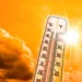 heatwave