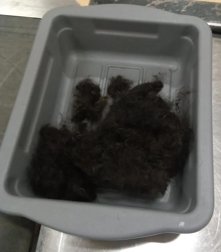 hair