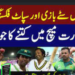 cricket