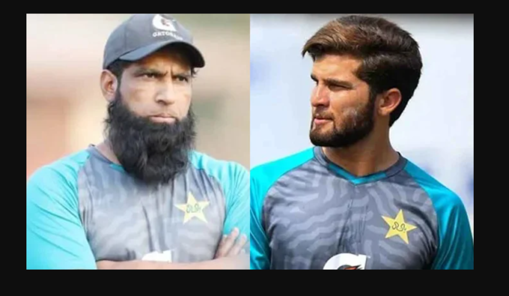 shaheen yousaf