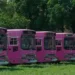 pink bus