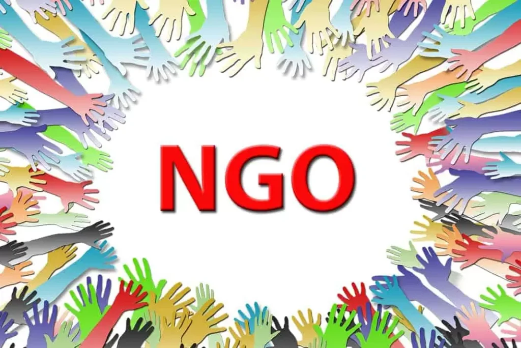 NGO,s
