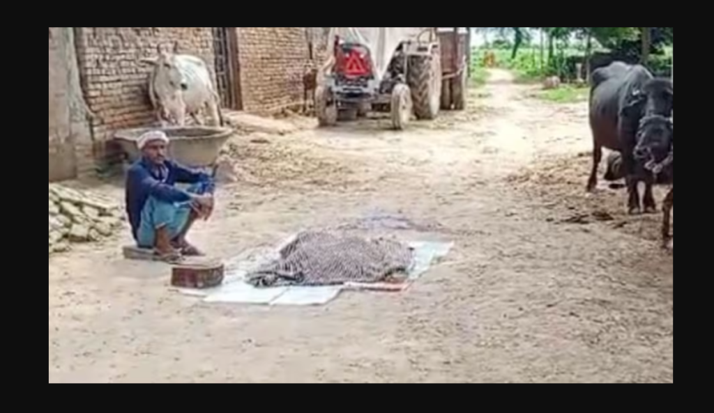 Naeem beheads 17-year-old daughter for having an affair