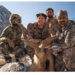 markhor
