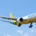 airine