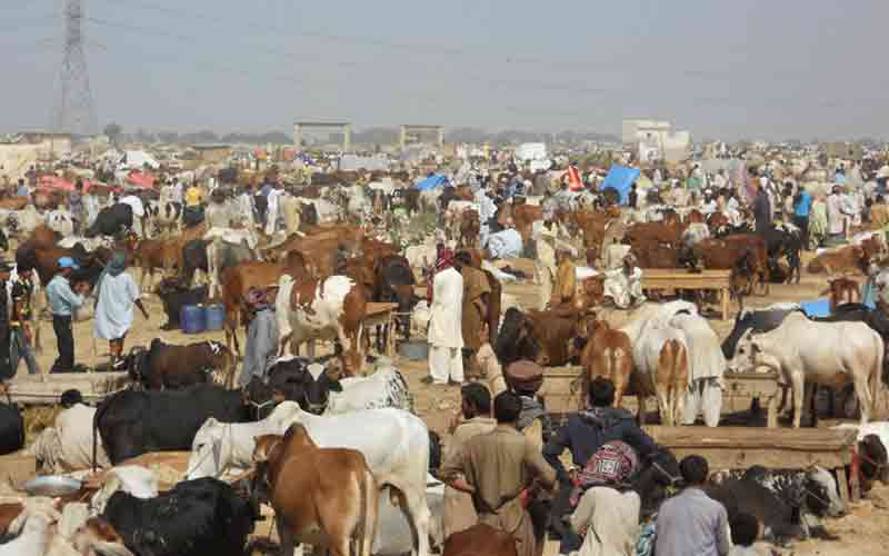 eid